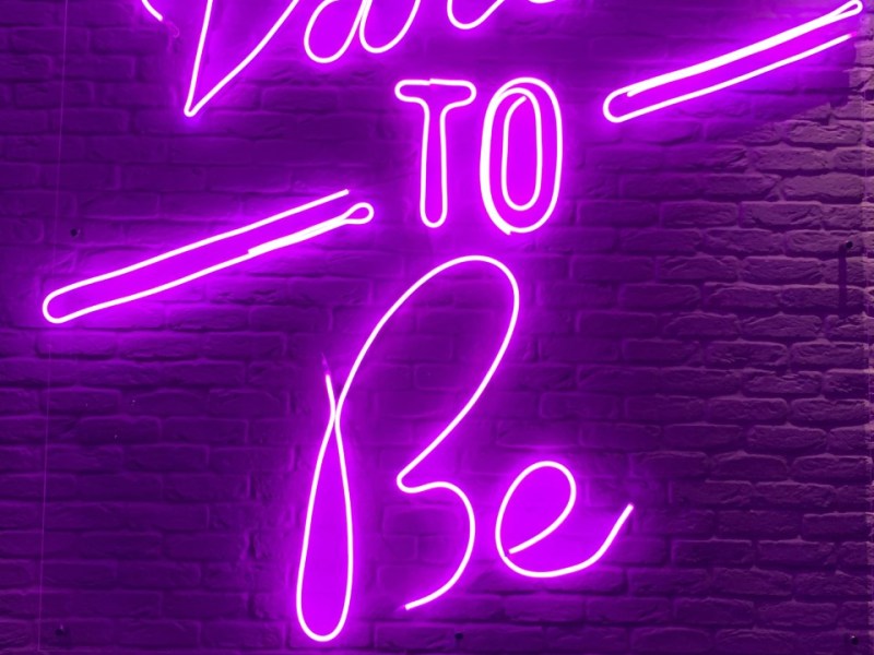 Friends, Allies and&nbsp;Ambassadors