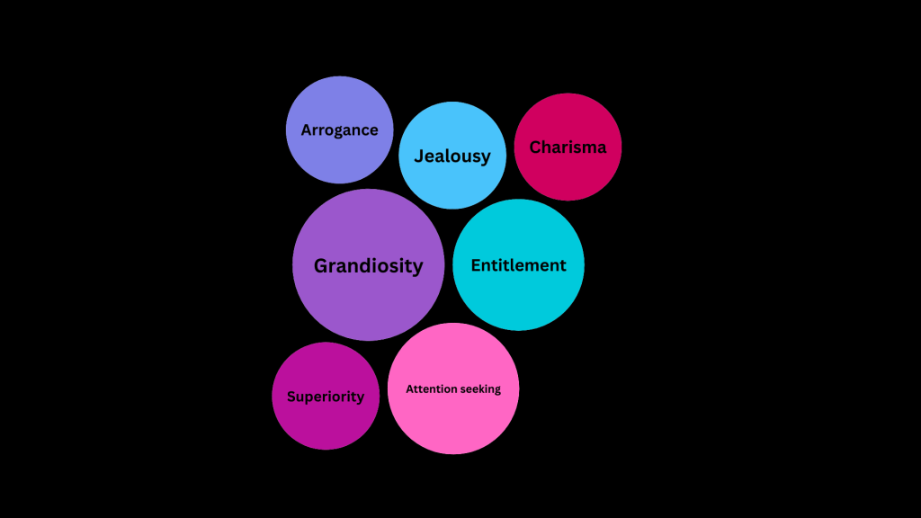 7 different circles with: Arrogance, Jealousy, Charisma, Grandiosity, Entitlement, Superiority and Attention seeking. 